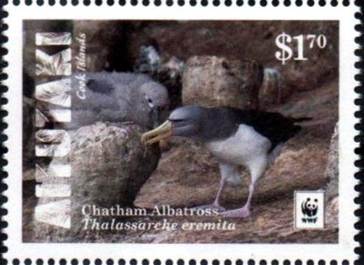 Brown Kiwi (Apteryx australis) - Overprinted