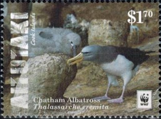 Scout Centenary - Butterflies