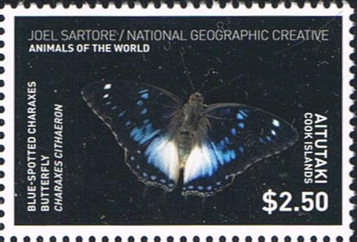 Beatification of Pope John Paul II (1920-2005)