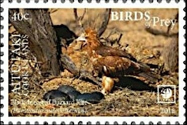 Rufous Fantail, Peregrine Falcon