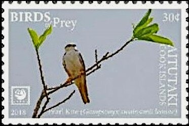 Rock Pigeon (Columba livia), overprinted O.H.M.S.