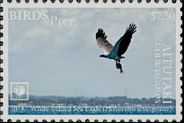 Orchids & Butterflies