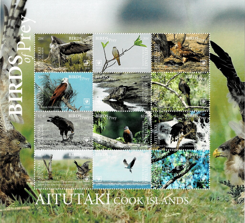 Albert Einstein (1879-1955), German theoretical physicist