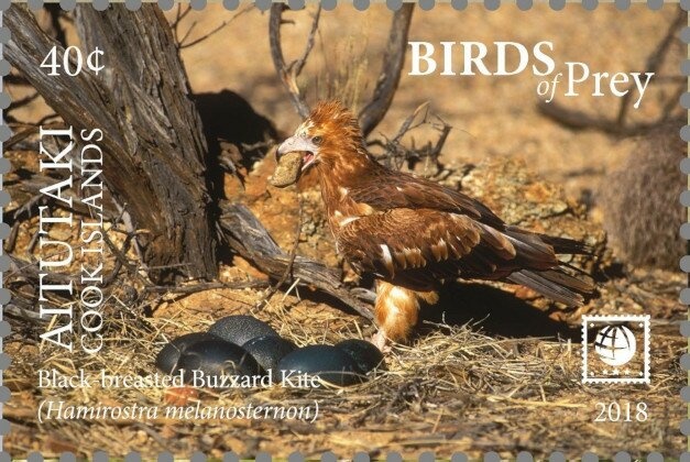 Cherubs, from Virgin in the Glory (1520) by Titian
