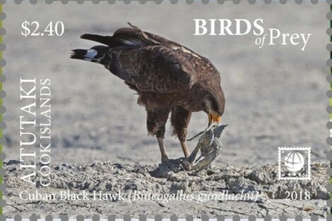 Cut Square 28 mm, year 1298