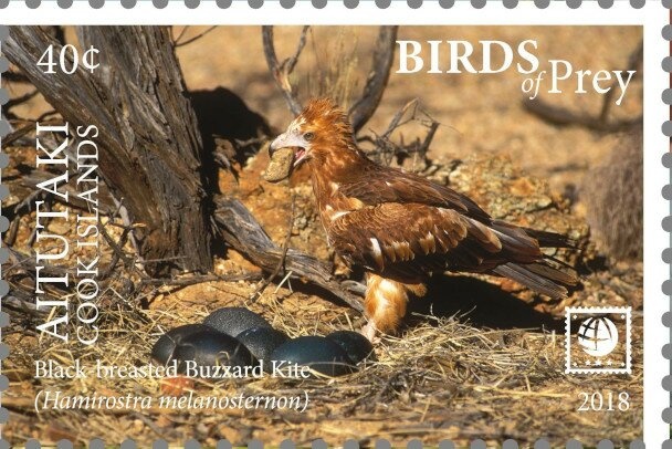 Disney 75th Birthday of Mickey Mouse