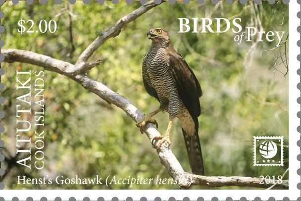 Spotted Reef Crab (Carpilius maculatus)