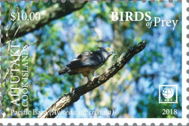 White-lipped Banded Snail (Helix hortensis)