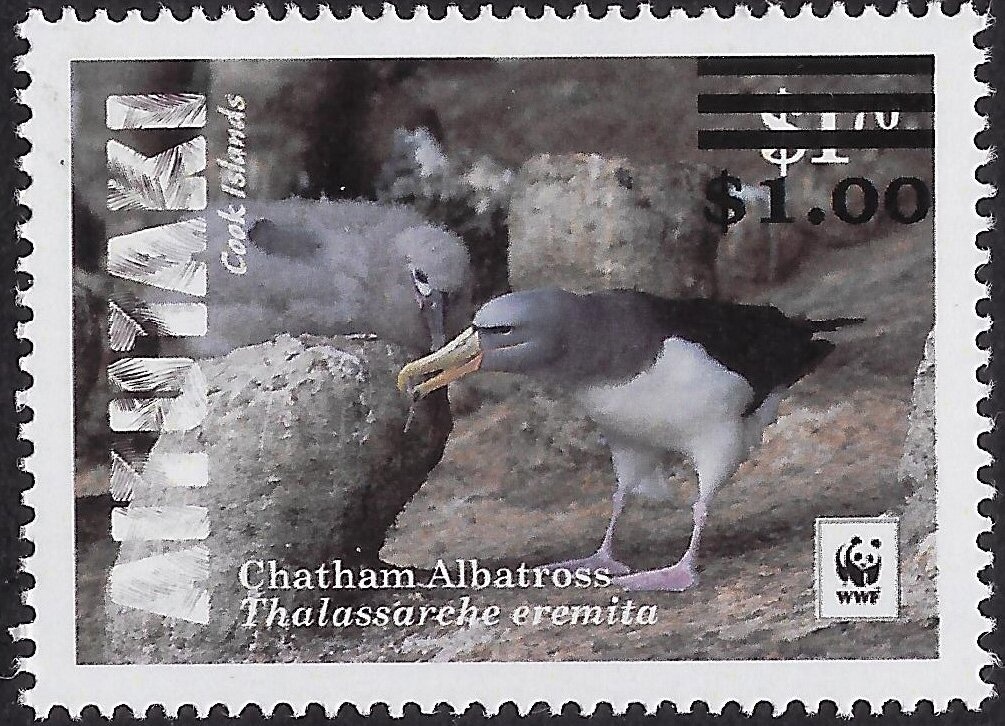 Black-browed Albatross, Whimbrel