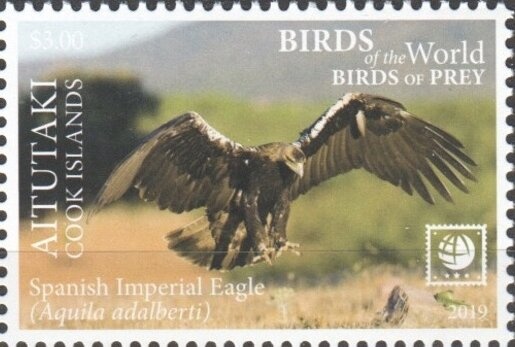 Fire Engines and Concorde