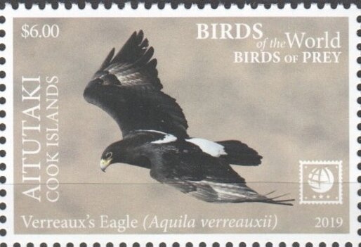 Albert Einstein (1879-1955), German theoretical physicist