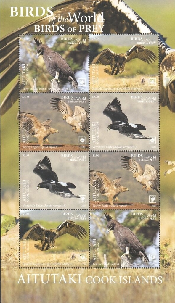 Schweitzer as a Young Man