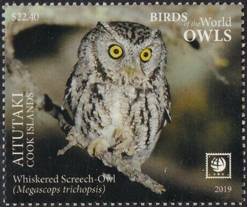 Looking over fence to sandy beach with two deckchairs