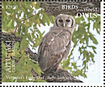 World Communications Year