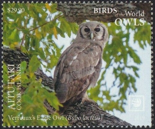 Sheikh Rashid and Car