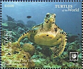 White Horse on Blue Background