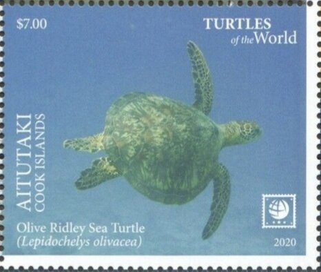 Blue Lorikeet (Vini peruviana) and bananas