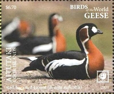 Albert Einstein (1879-1955) as an old man