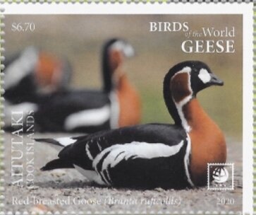 Portrait of the so-called Sappho, The battle wounds of Aenea