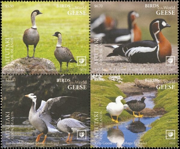 Virgin with Garland (1617), by Peter Paul Rubens (detail)