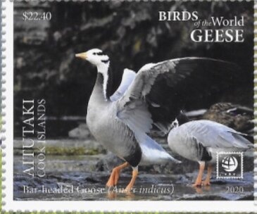 Maxima Clam (Tridacna maxima) and sea bed