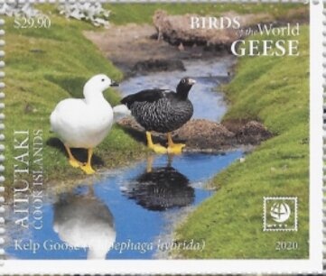 Kitchen scene; by Kitagawa Utamaro