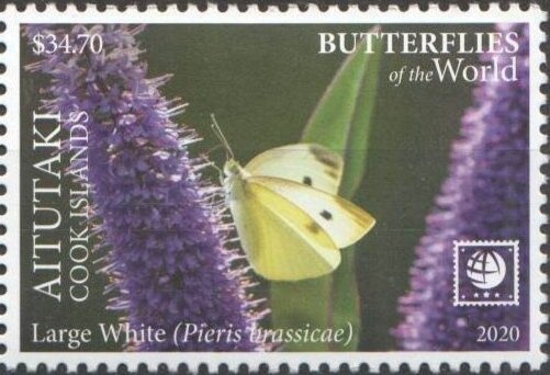 William Bligh's Discovery of Aitutaki