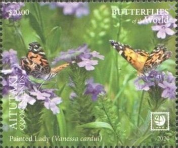 Guanaco (Lama guanicoe)