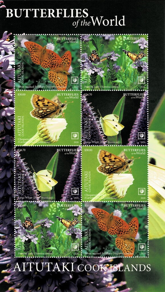 Mount Cook (Aorangi) - Overprinted