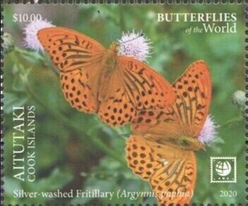 Buff-banded Rail (Gallirallus philippensis goodsoni) - surch