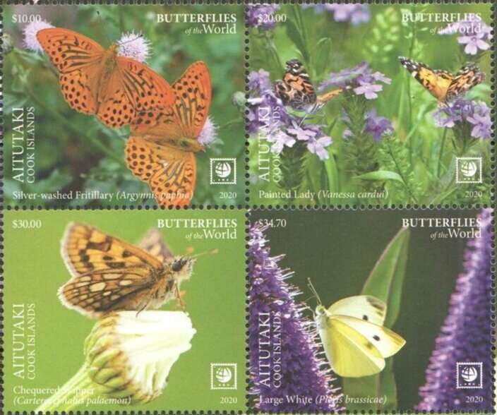 Rose-ringed Parakeet (Psittacula krameri)