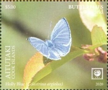 W. Graf Berghe von Trips and Ferrari V6