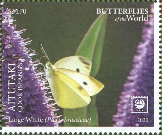 Virgin and Child with a Cat (1654), etching by Rembrandt