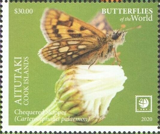 Pierre Trentin (*1944), Cycling, France