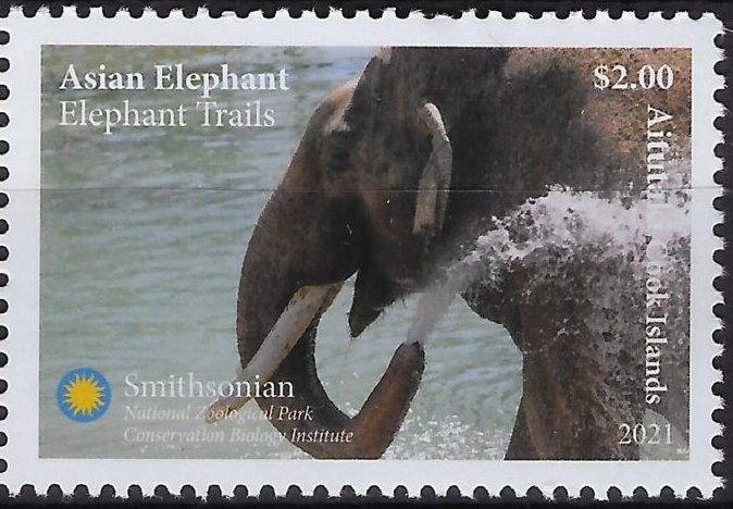 500th birthday of Albrecht Dürer