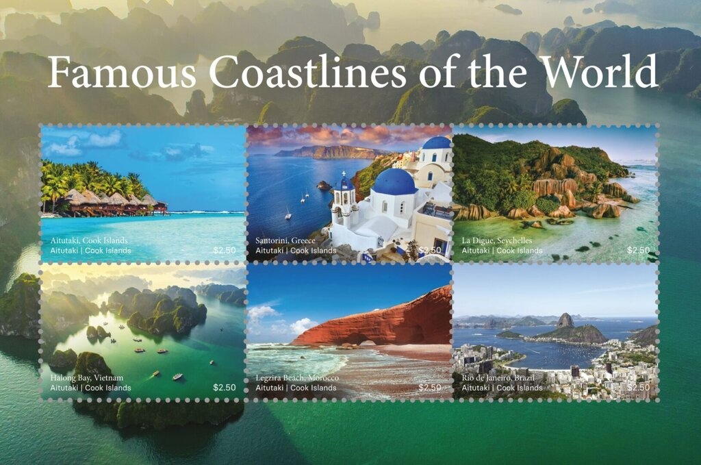 Yellow Persian (Felis silvestris catus)