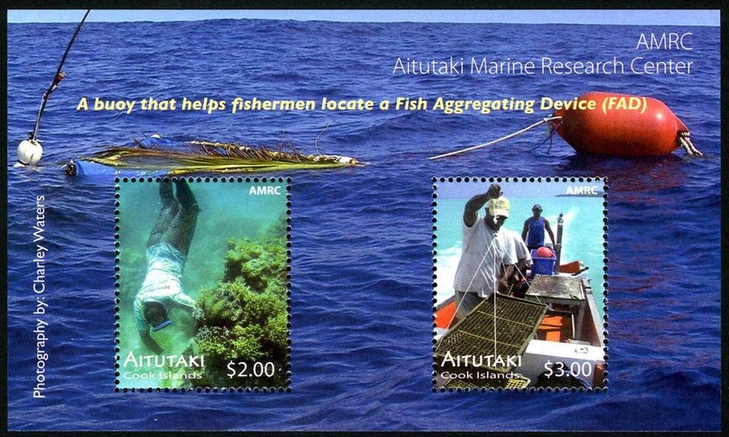 Year of the Pig 2019