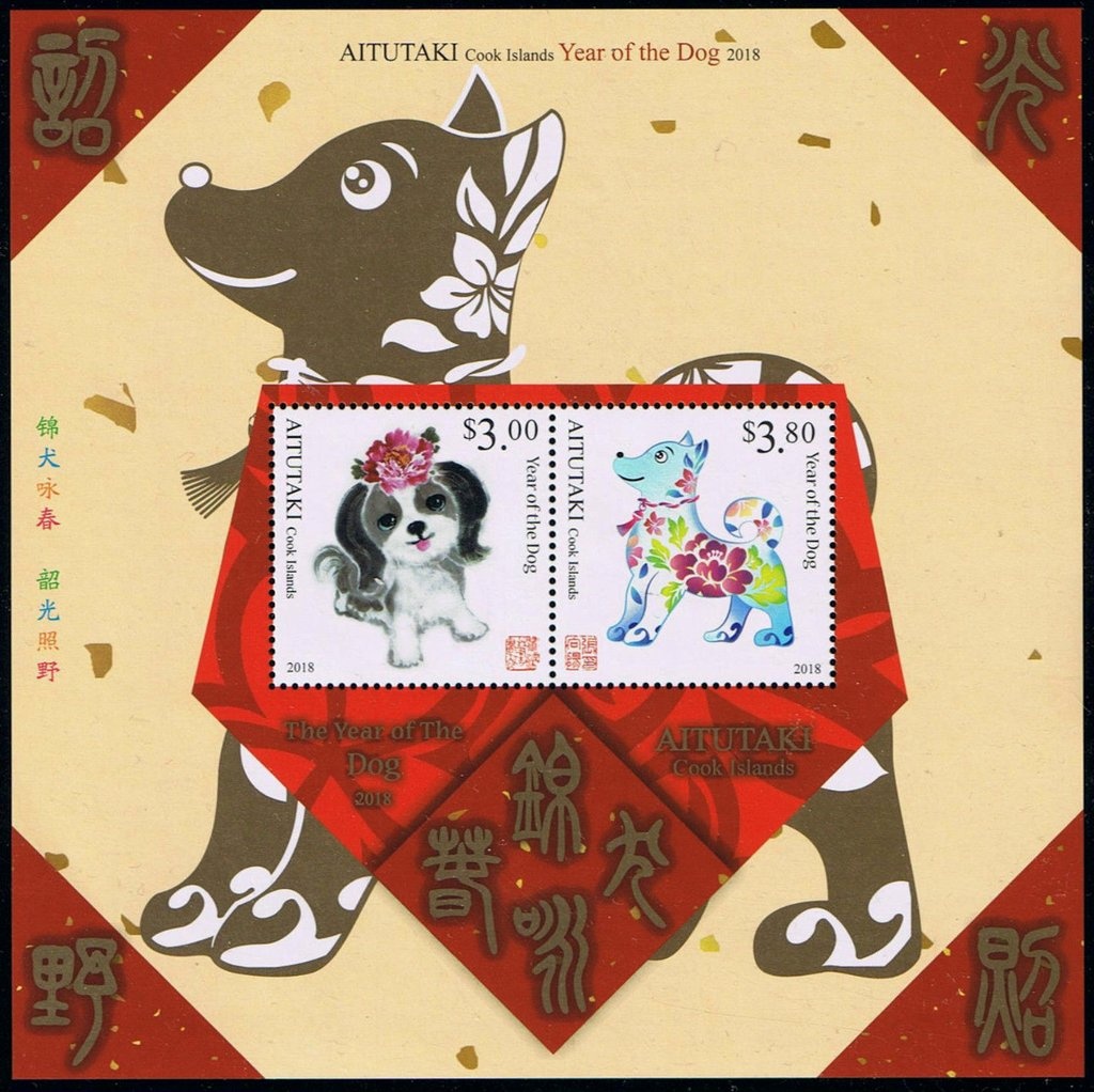 South Island Ried Oystercatcher (Haematopus finschi)