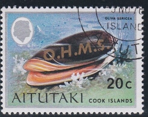 Crowned Eagle (Stephanoaetus coronatus)