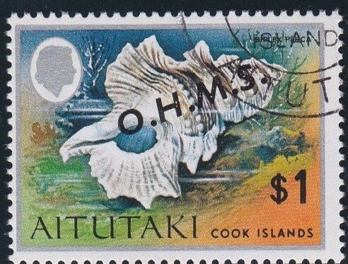 Double-toothed Kite (Harpagus bidentatus fasciatus)