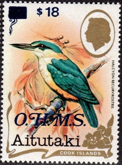 Striped Dolphin (Stenella coeruleoalba)