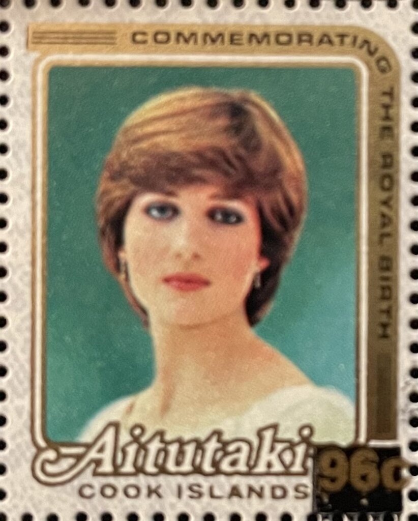 Vanikoro Flycatcher (Myiagra vanikorensis rufiventris)