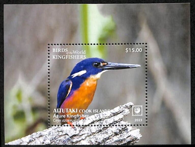 Cross-Country Skiing