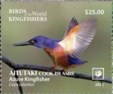 Pacific Reef Heron, Common Myna