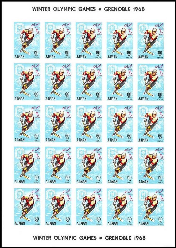 Guanaco (Lama guanicoe)