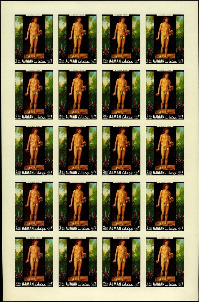 Henst's Goshawk (Accipiter henstii)