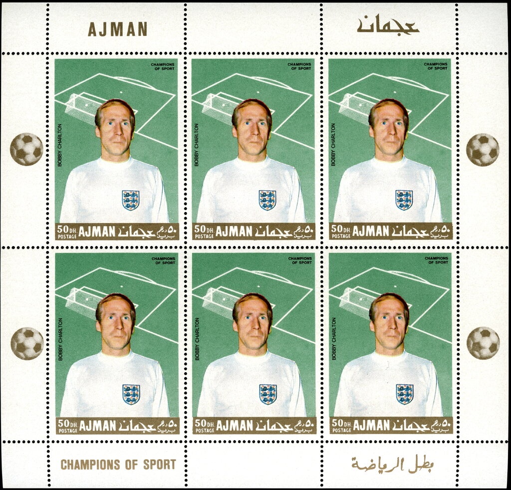 Kelp Goose (Chloephaga hybrida)