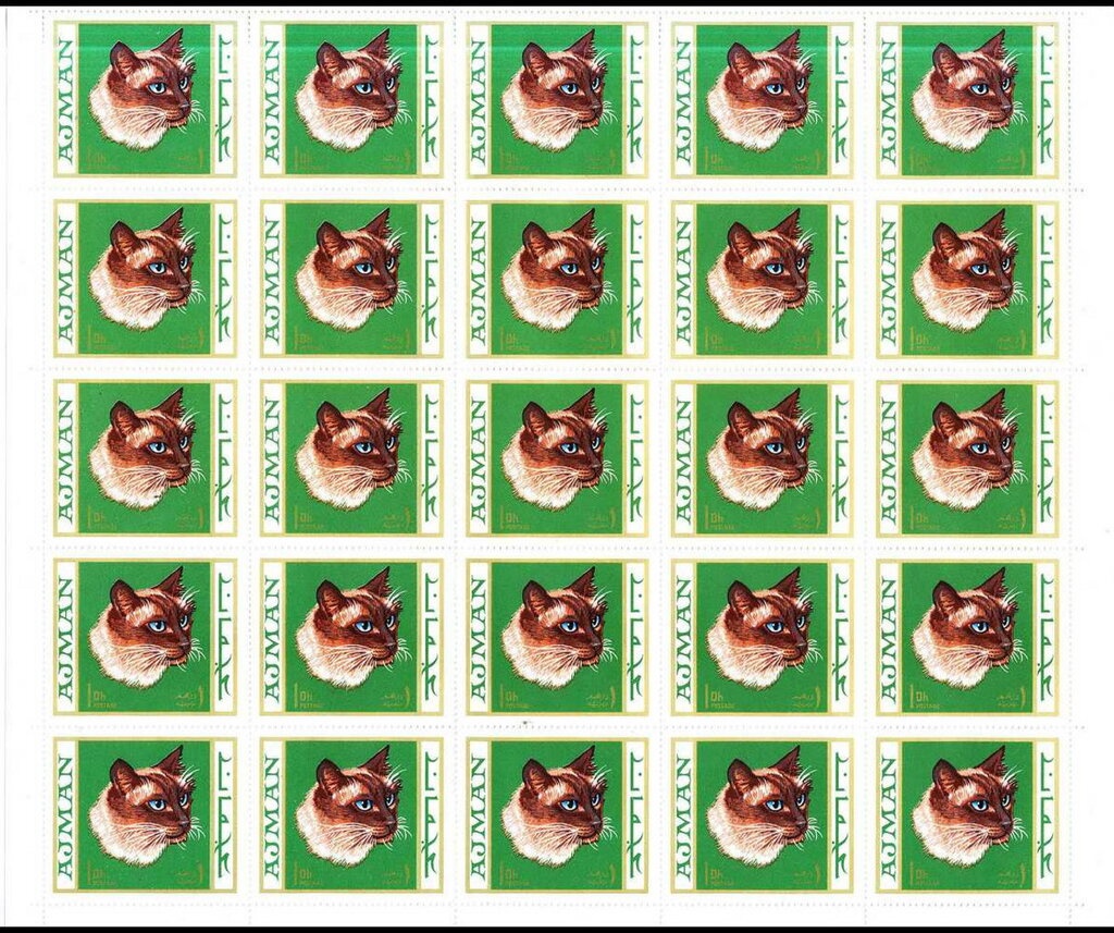 African Elephant (Loxodonta africana)