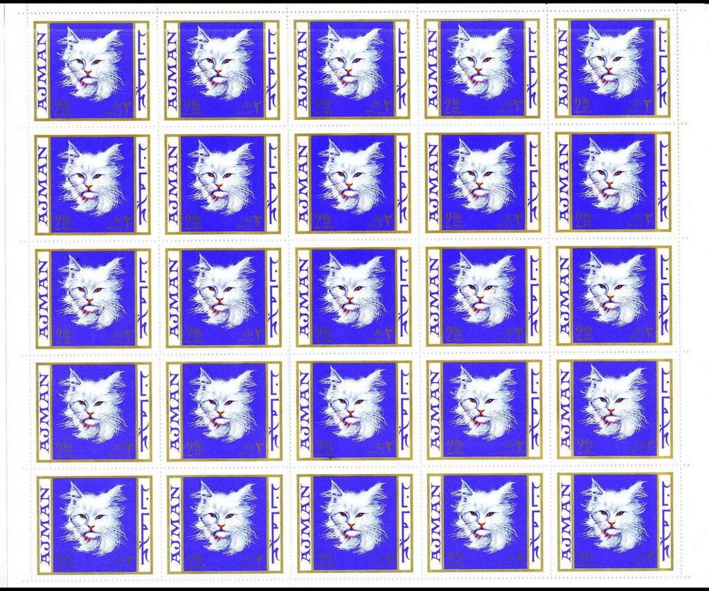 Kate Middleton, Prince William in background