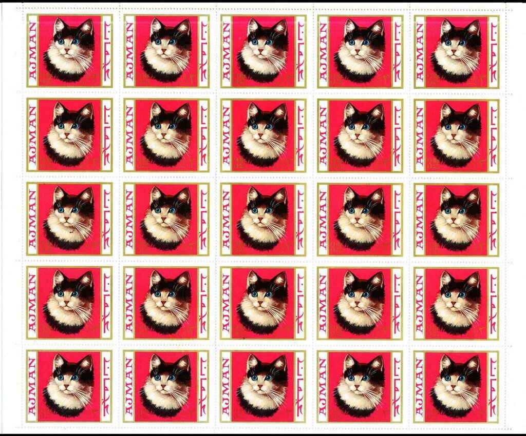 Giant Clam (Tridacna sp)